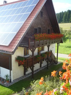 Vacation on a farm - discover and experience nature Hotels in Dachsberg