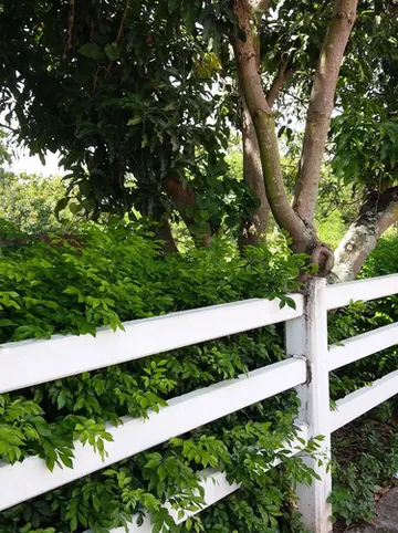 รูปภาพของโรงแรมเสมานคร