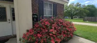Villa 1 Hotels in Tangipahoa Parish