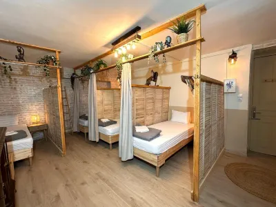 Baloo Hostel Hotels in 