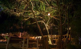 Zanzibar Sunrise at Bandas