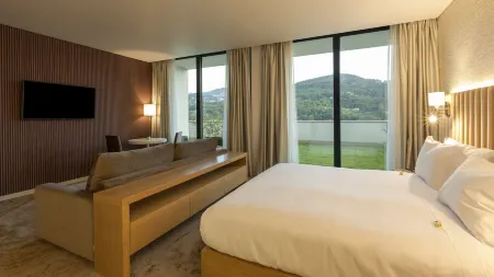 Douro Royal Valley Hotel & Spa Отели в г. Анседе