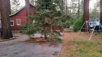 Myrtle Chalet