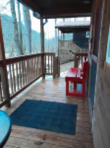 Cozy & Efficient cabin w/ river access. Pet Friendly!