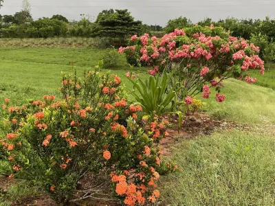 Campo Verde Lodge Hoteles en 