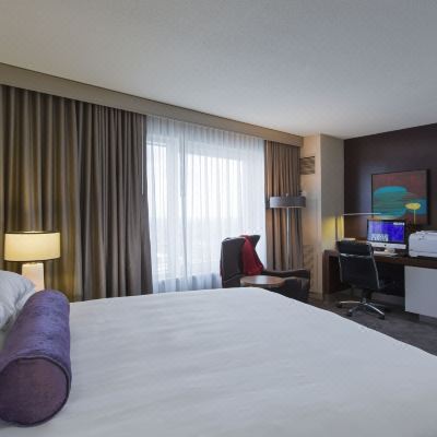 Accessible King Room with Roll-in Shower Hyatt Regency McCormick Place Promo Code