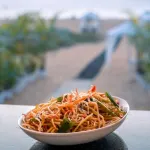 Lillywoods Zac Beach Resort, Calangute - Kitchens