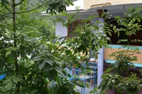Mid Valley Guest House Отели в г. Сиалкот