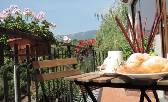 B&B Anthea Dell'Etna