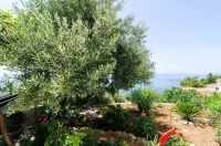 Apartments Villa Bella Vista