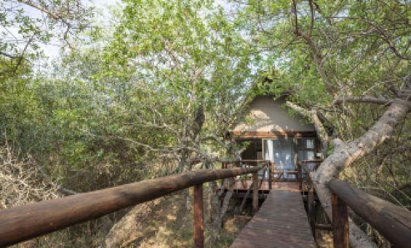 Panzi Lodge
