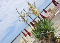 Hotel Classic - Azzurro Club - Ocean View