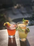 泰雷茲別墅酒店 - 酒吧