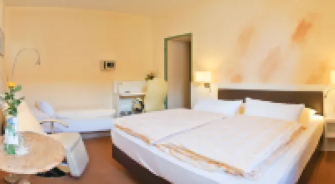 호텔 - 레스토랑 카스타니엔호프 라우잉겐 딜링겐안더도나우 호텔