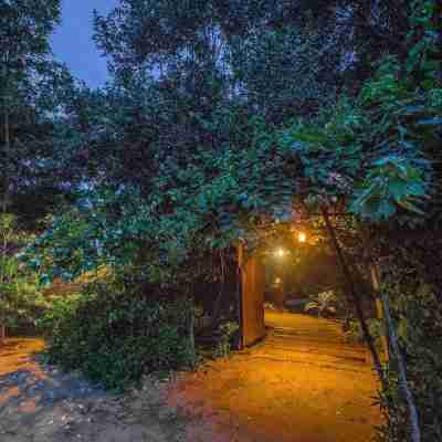 Mahua Vann Pench Hotel Exterior