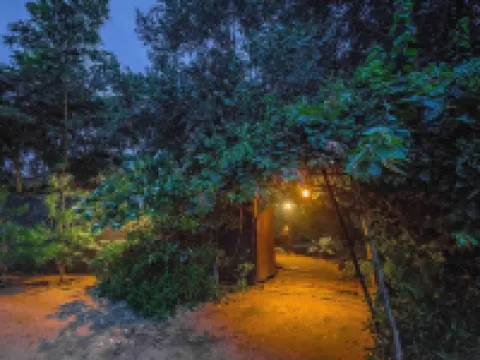 Mahua Vann Pench Hotéis em Seoni