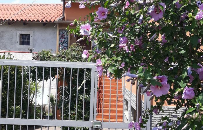Bed and Breakfast Al Laghetto
