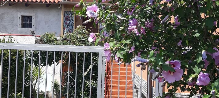 Bed and Breakfast Al Laghetto Hotels in Trieste