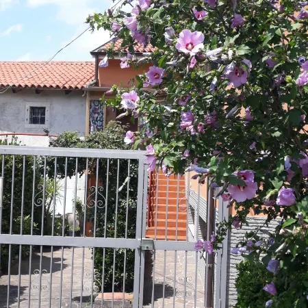 Bed and Breakfast Al Laghetto