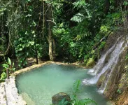 Platon Ecolodge - Pools