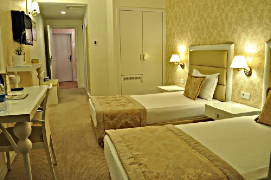 호텔 에르디네 팰리스