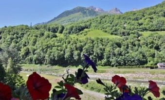 Chambres d'Hôtes la Munia