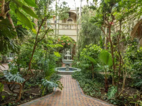 리아드 다르 엘 말라이카