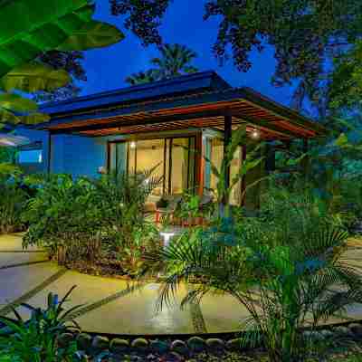 Noah's Forest Hotel by Tifakara Hotel Exterior