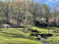 Awesome Cottage, Views, Waterfalls, Cute animals, streams, privacy, easy access