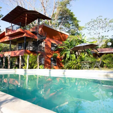 Jungle Lodge at Wild Sun Rescue Center