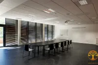 อะโดนิส ดีจง ม้อมซอง อินเทอร์นาชั่นแนล