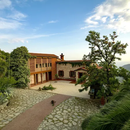 Villa Vino