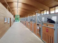 Allgäu Meadow Ranch Hotel a Scheidegg