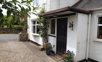 White Cottage Bed and Breakfast