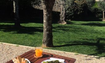 Pedra Nova - Turismo d'Aldeia