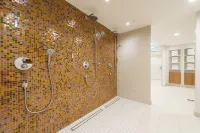 杜塞爾多夫卡爾斯特美居飯店 - SPA