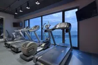 特拉布宗希爾頓逸林酒店 - 健身室/gym room