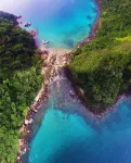 TuriHouse - Ilha Grande