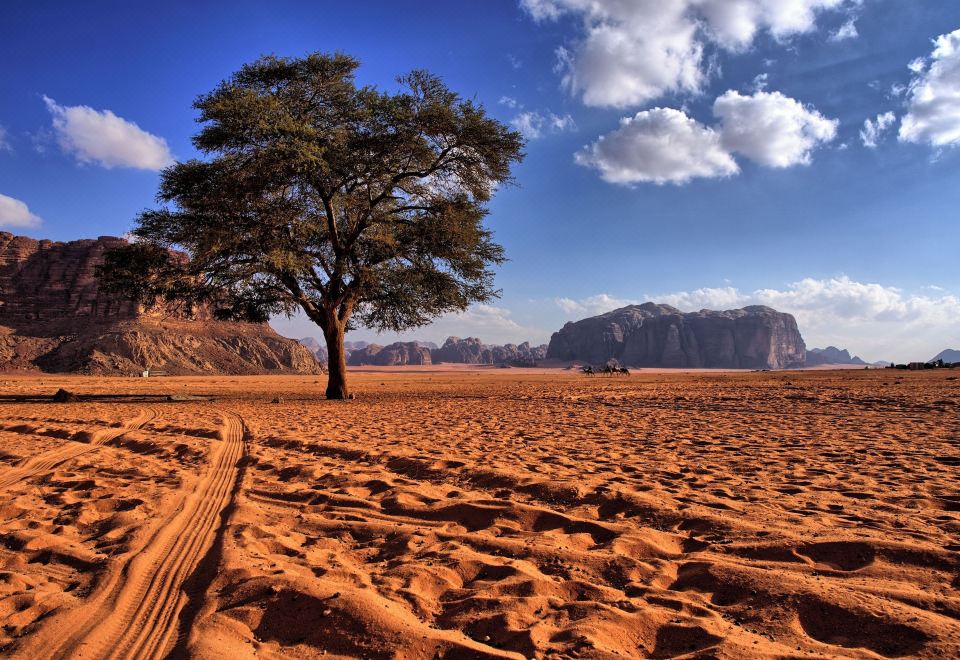 와디 럼 캠프 위치