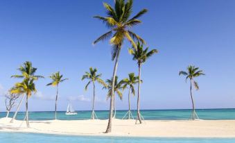Apartment With 2BR and Ocean View in Punta Palmera