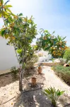 67 adm - 3 bed villa walking distance to Carvoeiro - فلل