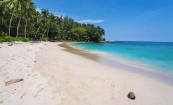 Tropical View Apartment Viva Patong A601