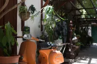 Tzefania Hotel Hotel a 