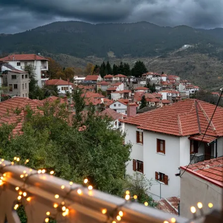 Dandy Villas Metsovo