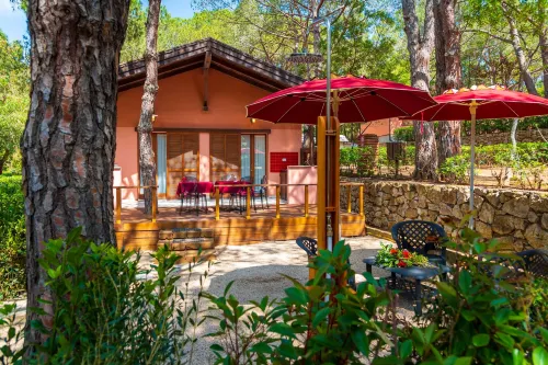 Camping Lacona Pineta