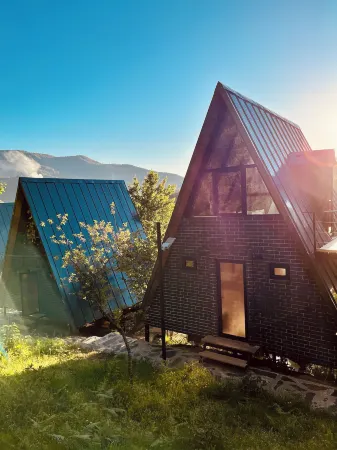 GreenWood Merisi Отели в г. Силибаури