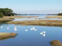 Fisherman's house in a typical village in the Gulf of Morbihan Hotels in Sarzeau