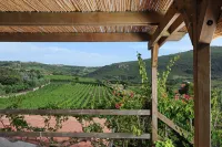 House in the vineyard with sea view (2)