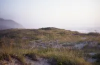 Wild Atlantic beach - Cozy apartment