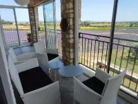 Grande Maison Avec Magnifique Piscine au Milieu D'un Jardin de 3000 m Hotel a Pont-Saint-Esprit